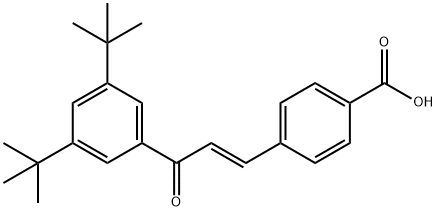 CH 55 Structural