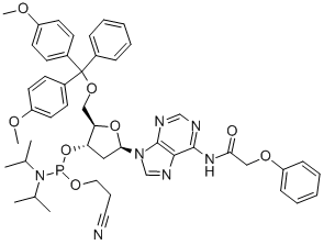 5'-O-(4,4'-DIMETHOXYTRITYL)-N6-PHENOXYACETYL-2'-DEOXYADENOSINE-3'-(2-CYANOETHYL-N,N-DIISOPROPYL)PHOSPHORAMIDITE