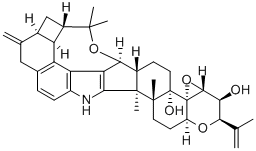 PENITREMB