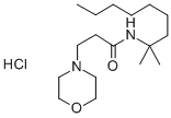 TR 428 Structural