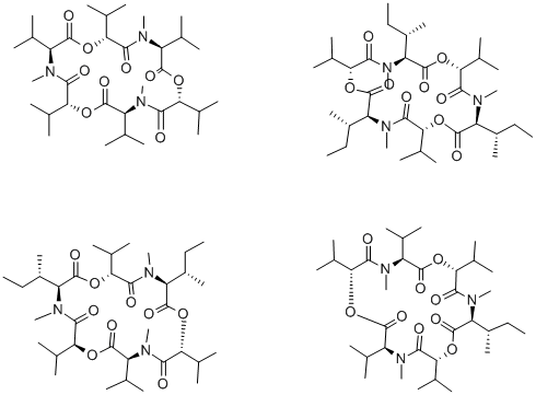 ENNIATIN FROM MICROBIAL SOURCE Structural