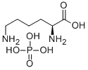 L-LysinePhosphate Structural