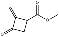 Cyclobutanecarboxylic acid, 2-methylene-3-oxo-, methyl ester (9CI) Structural