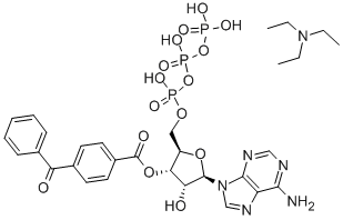 2'- AND 3'-O-(4-BENZOYLBENZOYL)-ADENOSINE 5'-TRIPHOSPHATE TRIETHYLAMMONIUM SALT