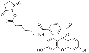 FLUORESCEIN-5(6)-CARBOXAMIDOCAPROIC ACID N-SUCCINIMIDYL ESTER