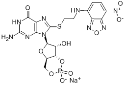 8-(2-[7-NITRO-4-BENZOFURAZANYL]AMINOETHYLTHIO]GUANOSINE-3',5'-CYCLIC MONOPHOSPHATE SODIUM SALT