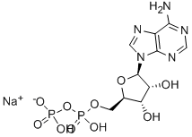 adenosine5’-diphosphate,monosodiumsaltdihydrate Structural