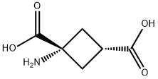 1-AMINOCYCLOBUTANE-CIS-1,3-DICARBOXYLIC ACID