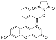 5(6)-Carboxyfluorescein N-succinimidyl ester