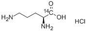L-ORNITHINE-CARBOXY-14C HYDROCHLORIDE
