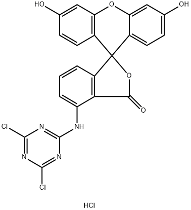 6-([4,6-DICHLOROTRIAZIN-2-YL]AMINO)FLUORESCEIN HYDROCHLORIDE Structural