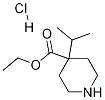 Ethyl 4-Isopropyl-4-piperidinecarboxylate Hydrochloride Structural
