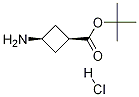 cis-tert-butyl 3-aMinocyclobutanecarboxylate hydrochloride Structural