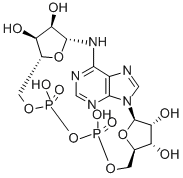 CADP-RIBOSE