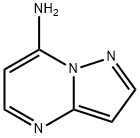 Pyrazolo[1,5-a]pyrimidin-7-amine Structural