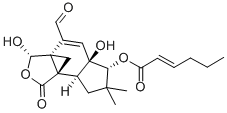 pilatin Structural