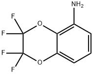 2,2,3,3-TETRAFLUORO-5-AMINO-1,4-BENZODIOXENE