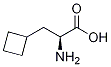 (S)-2-aMino-3-cyclobutylpropanoic acid Structural