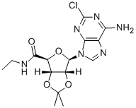 2-CHLORO-2',3'-O-ISOPROPYLIDENEADENOSINE-5'-N-ETHYLCARBOXAMIDE