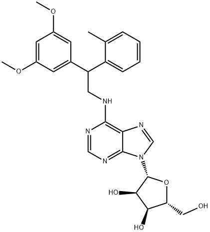 DPMA Structural