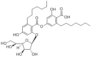 KS 502 Structural