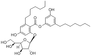 KS 501 Structural