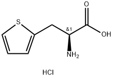 3-THIOPHEN-2-YL-L-ALANINE HCL