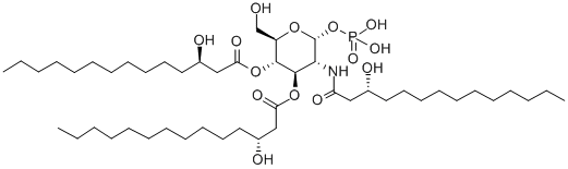 SDZ MRL 953 Structural