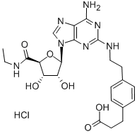 CGS-21680 HYDROCHLORIDE