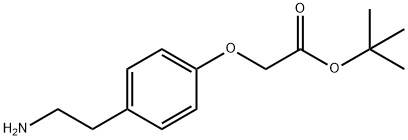TERT-BUTYL [4-(2-AMINO-ETHYL)-PHENOXY]-ACETATE