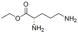 Ornithine, ethyl ester (9CI) Structural