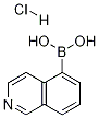 5-Isoquinolineboronic acid, HCl