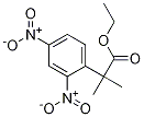 Ethyl 2-(2,4-Dinitrophenyl)-2-Methylpropanoate Structural