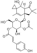 HYPOLOSIDEC Structural