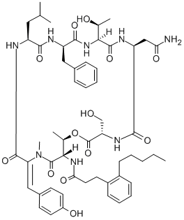 FK 224 Structural