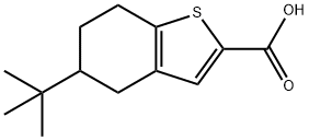 5-TERT-BUTYL-4,5,6,7-TETRAHYDRO-1-BENZOTHIOPHENE-2-CARBOXYLIC ACID