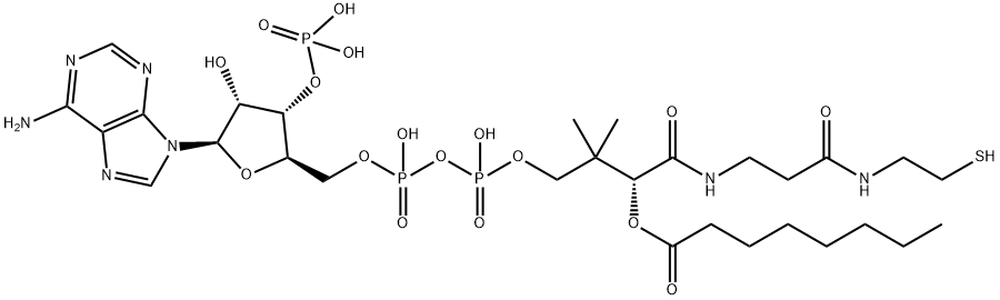 Octanoyl coenzyme A Structural