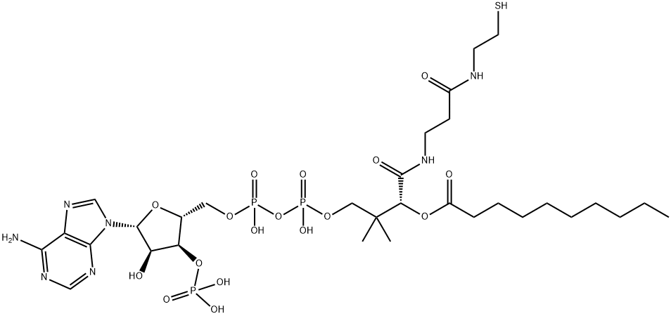 N-DECANOYL COENZYME A (C10:0)