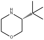 (R)-3-(tert-butyl)morpholine