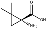 (R)-1-AMINO-2,2-DIMETHYLCYCLOPROPANECARBOXYLIC ACID Structural