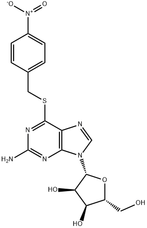 NBTGR Structural