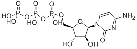 Ara-C triphosphate