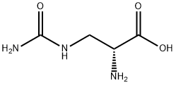 D-ALBIZZIIN Structural