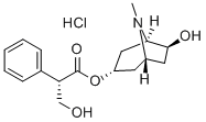 RaceAnisodamine Structural