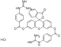 FLUORESCEIN DI-P-GUANIDINOBENZOATE HYDROCHLORIDE