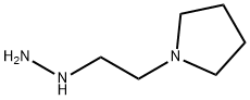 (2-PYRROLIDIN-1-YL-ETHYL)-HYDRAZINE