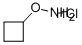 O-Cyclobutyl-hydroxylamine hydrochloride Structural