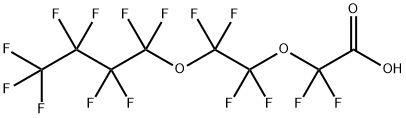 PERFLUORO-3,6-DIOXADECANOIC ACID Structural