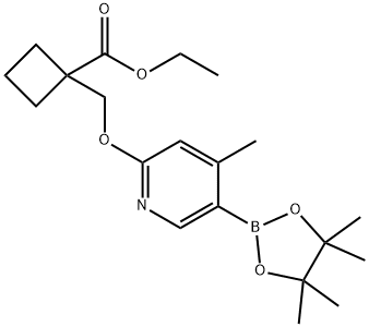 ethyl 1-(((4-Methyl-5-(4,4,5,5-tetraMethyl-1,3,2-dioxaborolan-2-yl)pyridin-2-yl)oxy)Methyl)cyclobutanecarboxylate Structural
