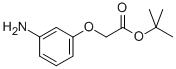 TERT-BUTYL 3-AMINOPHENOXYACETATE Structural